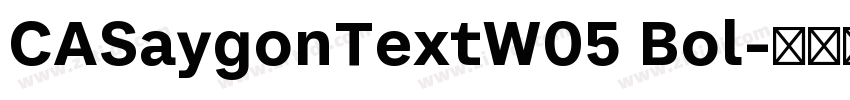 CASaygonTextW05 Bol字体转换